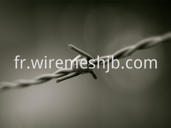 Barb Wire Fence